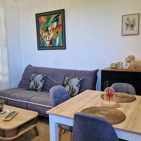 Cocon Thermal, Cosy 2 A 4 Pers, Proche Centre Et Thermes Bagnères-de-Bigorre