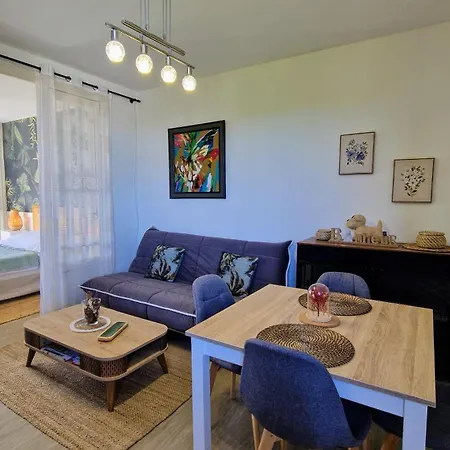 Apartament Cocon Thermal, Cosy 2 A 4 Pers, Proche Centre Et Thermes Bagnères-de-Bigorre